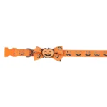 Thrills & Chills® Pumpkin Collar