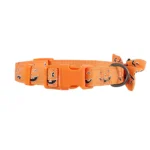 Thrills & Chills® Pumpkin Collar - Image 3