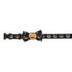 Thrills & Chills® Pumpkin Collar