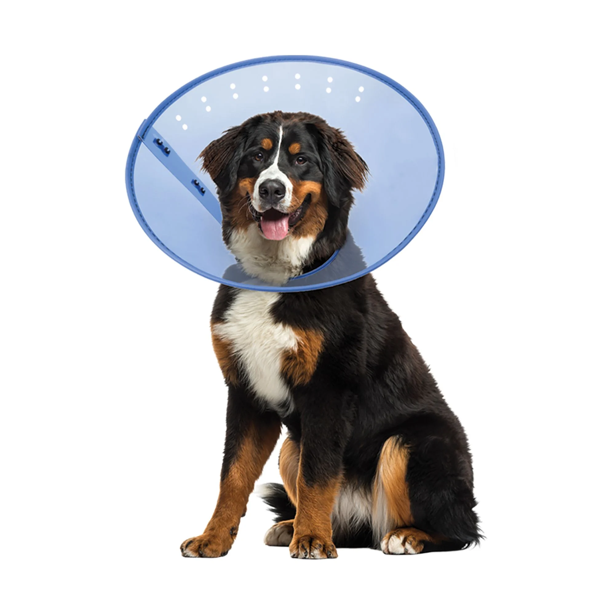 img_1761293467477_341_Tt547JUQt.webp Calm Paws CALMING E-Collar, Blue - Image 1