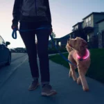 Nite Ize® NiteHowl® LED Safety Necklace - Image 4