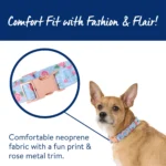 Top Paw® Blue Rose Dog Collar - Image 2