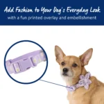 Top Paw® Lavender Daisy Dog Collar - Image 2