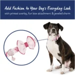 Top Paw® Prince or Princess Dog Collar - Image 2