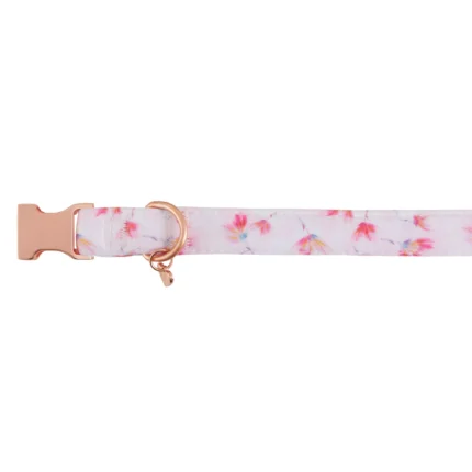 Top Paw® Peony Comfort Neoprene Dog Collar
