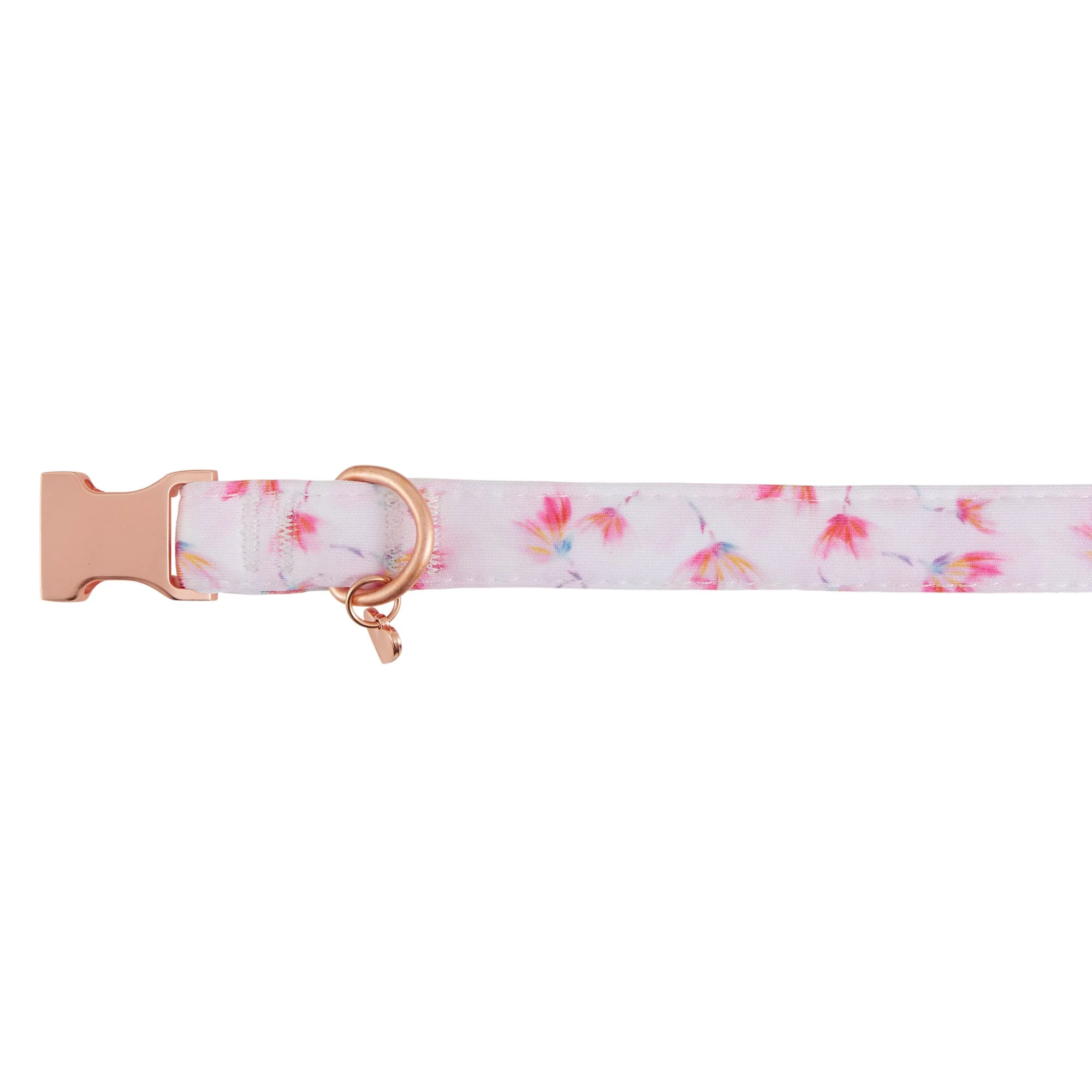 img_1761293582744_768_wwNDatgVc.webp Top Paw® Peony Comfort Neoprene Dog Collar - Image 1