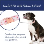 Top Paw® Peony Comfort Neoprene Dog Collar - Image 2