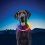 Nite Ize® NiteHowl® LED Rechargeable Necklace - Image 2