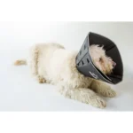 All Four Paws Black Comfy Cone Dog E-Collar
