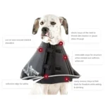 All Four Paws Black Comfy Cone Dog E-Collar - Image 5