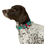 Merry & Bright® Trees Holiday Dog Collar - Image 2