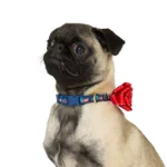 Merry & Bright® Presents Holiday Dog Collar - Image 2