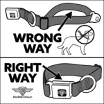 Buckle-Down Peanuts Seatbelt Dog Collar - Image 5