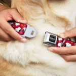 Buckle-Down Peanuts Snoopy Seatbelt Dog Collar - Image 2