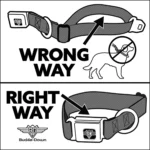 Buckle-Down Peanuts Snoopy Seatbelt Dog Collar - Image 5