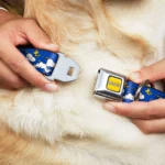 Buckle-Down Peanuts Snoopy Seatbelt Dog Collar - Image 2