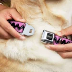Buckle-Down Peanuts Seatbelt Dog Collar - Image 2