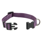 Top Paw® Basic Dog Collar