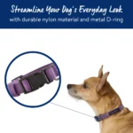 Top Paw® Basic Dog Collar - Image 2