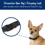 Top Paw® Celestial Dog Collar - Image 2