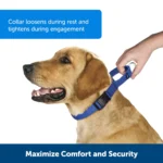 PetSafe® Martingale 3/4" Collar with Quick Snap Buckle - Image 2