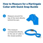 PetSafe® Martingale 3/4" Collar with Quick Snap Buckle - Image 3