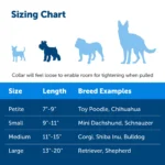 PetSafe® Martingale 3/4" Collar with Quick Snap Buckle - Image 4