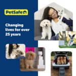 PetSafe® Martingale 3/4" Collar with Quick Snap Buckle - Image 7