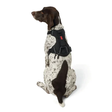 KONG® Waste Bag Dog Harness