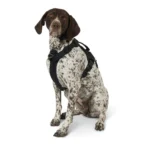 KONG® Waste Bag Dog Harness - Image 2