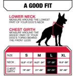 KONG® Waste Bag Dog Harness - Image 5