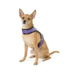 Thrills & Chills® Light-Up Dog Harness