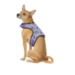 Thrills & Chills® Light-Up Dog Harness - Image 2