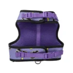 Thrills & Chills® Light-Up Dog Harness - Image 4