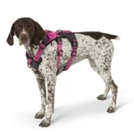 Kong® Safety Dog Harness - Image 2
