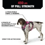 Kong® Safety Dog Harness - Image 3