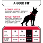 Kong® Safety Dog Harness - Image 5