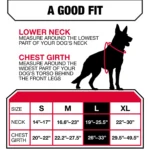 KONG® Double Handle Vest Dog Harness - Image 6