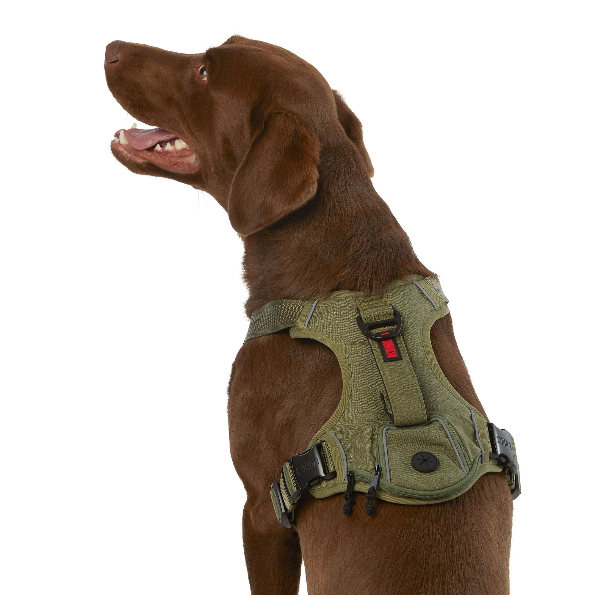 img_1761295650007_243_9VYj4BwEZ.webp KONG® Reflective Waste Bag Dog Harness - Image 1