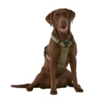 KONG® Reflective Waste Bag Dog Harness - Image 2