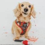 Sassy Woof Friday the 13th Adjustable Harness - Image 4