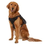 KONG® Tactical Vest Dog Harness - Image 2