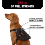 KONG® Tactical Vest Dog Harness - Image 3