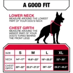 KONG® Tactical Vest Dog Harness - Image 6