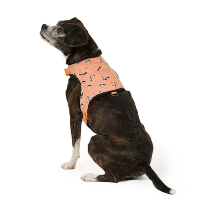 Thrills & Chills® Light-Up Pumpkin Harness