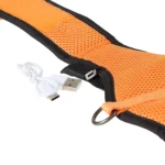 Thrills & Chills® Light-Up Pumpkin Harness - Image 6
