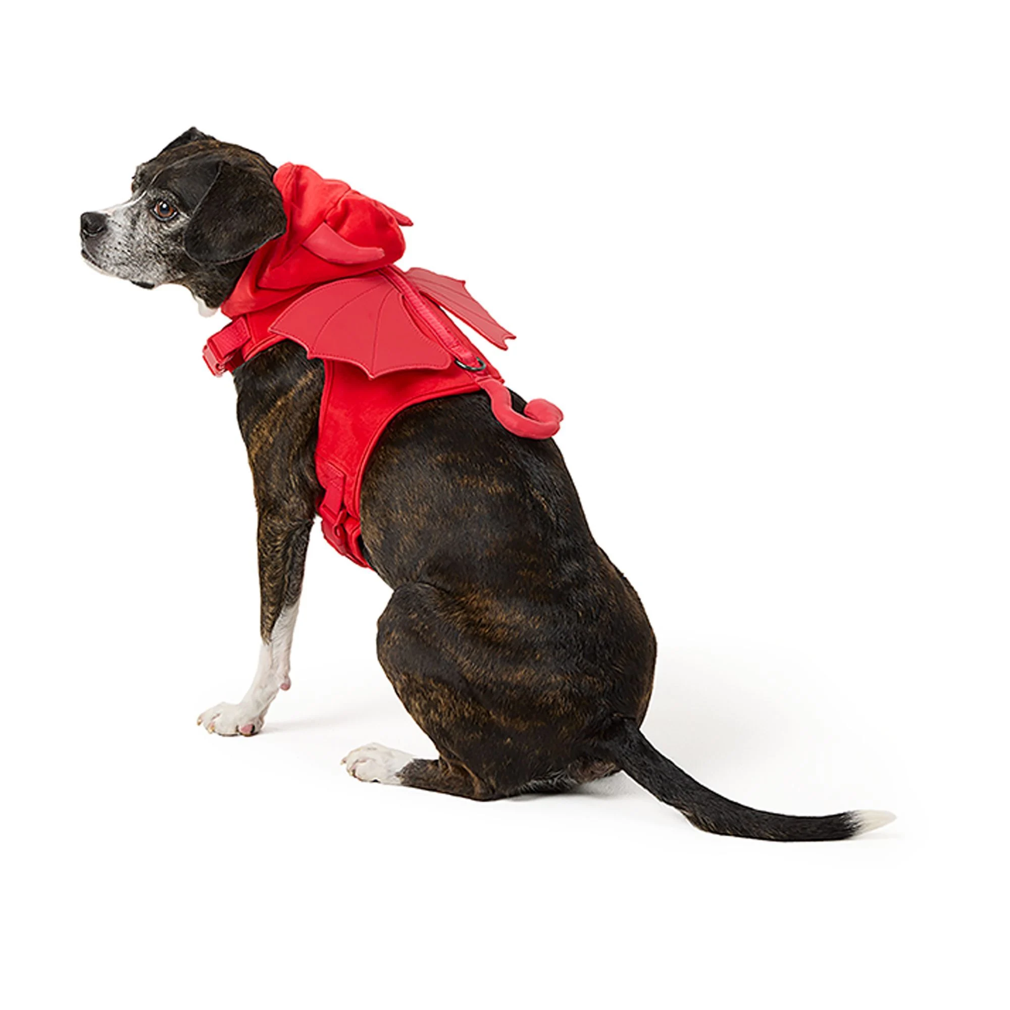 img_1761295752477_468_lpa2i0KGK.webp Thrills & Chills® Devil Costume Harness - Image 1