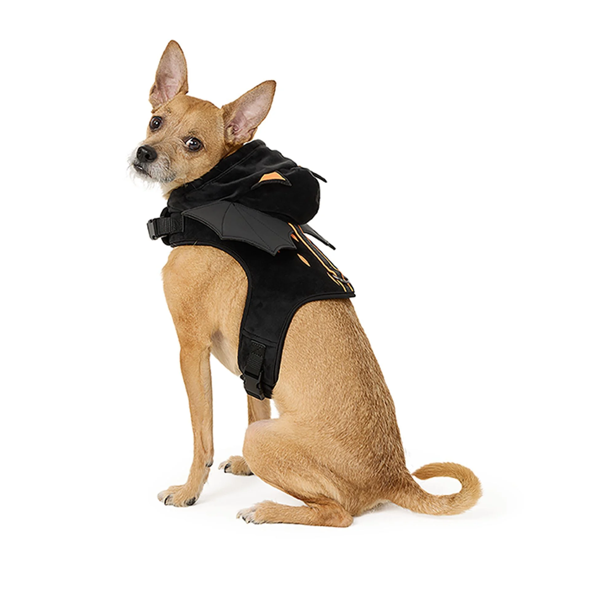 img_1761295802678_641_G98VQvFeM.webp Thrills & Chills® Bat Costume Harness - Image 1