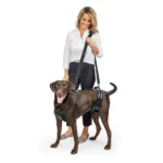 PetSafe® CareLift ™ Full Body Nylon Support Dog Harness