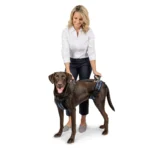 PetSafe® CareLift ™ Full Body Nylon Support Dog Harness - Image 2